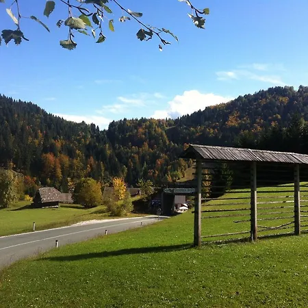 Farm stay Anz'k