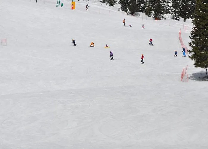 Séjour à la ferme Anz'k *